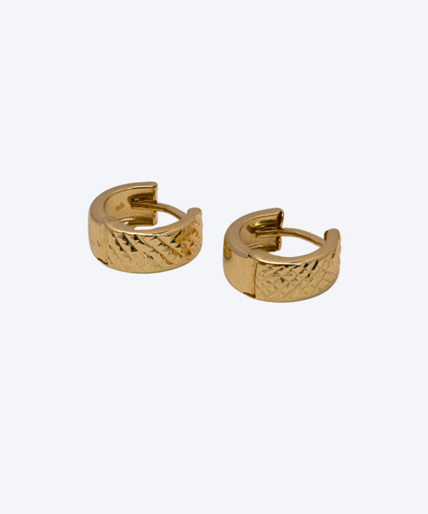 Hoop Earrings