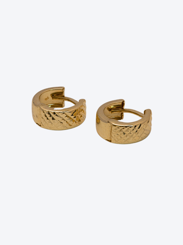 Hoop Earrings