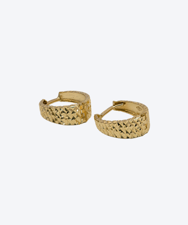 Hoop Earrings