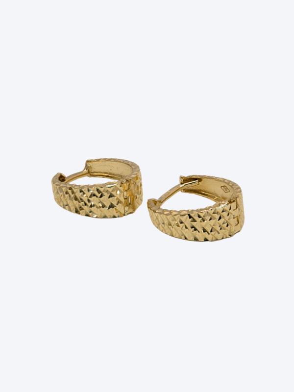 Hoop Earrings