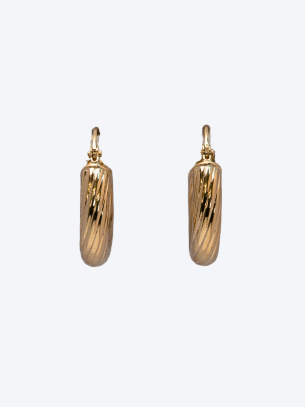 Gold Earrings