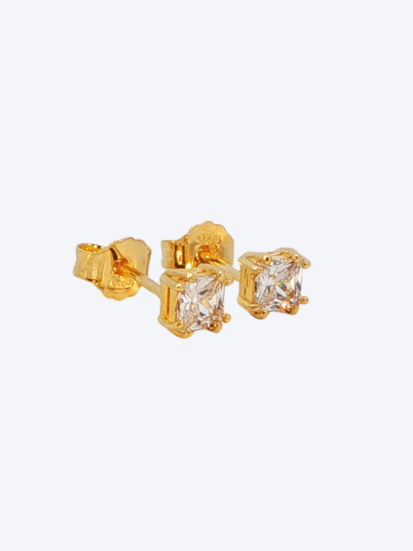 Gold Plated 925 Silver Earrings