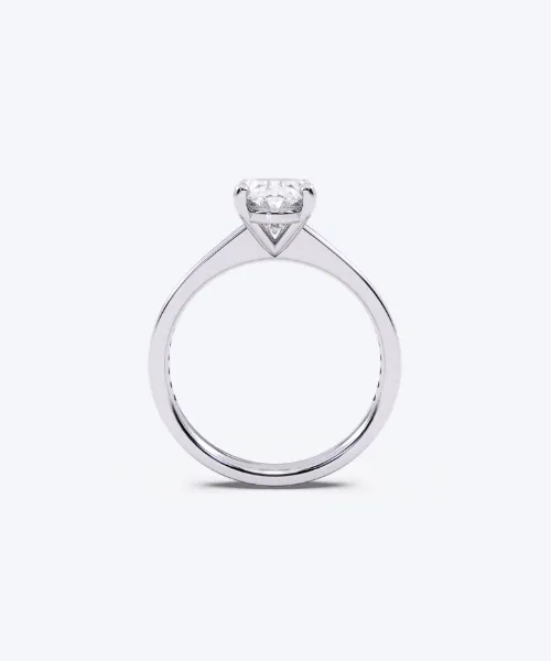 ariadne-cathedral-white-gold-profile