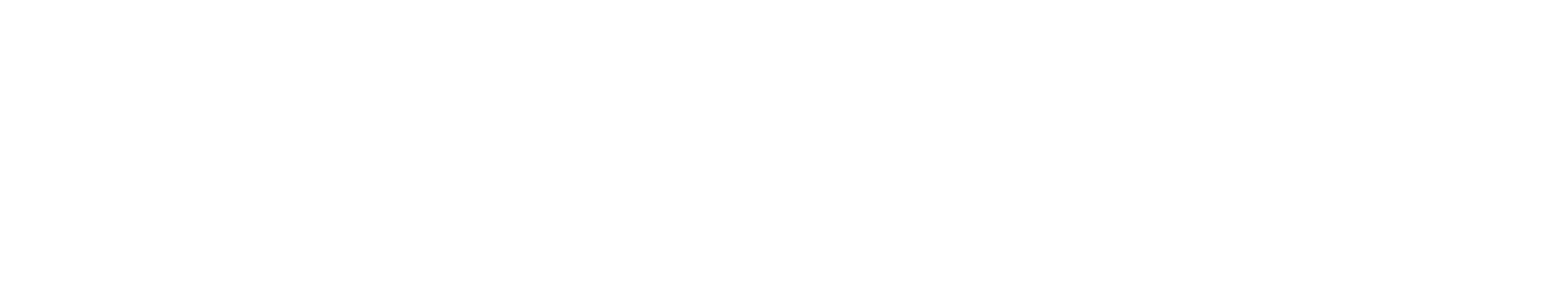 logo light